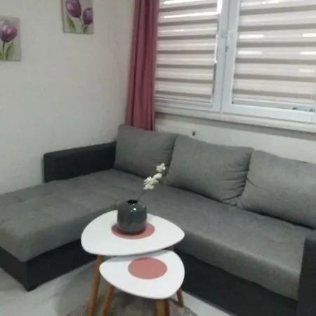 Comfort Apartment *